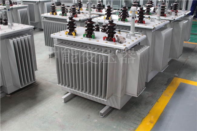 周口S22-100KVA/10KV/0.4KV变压器